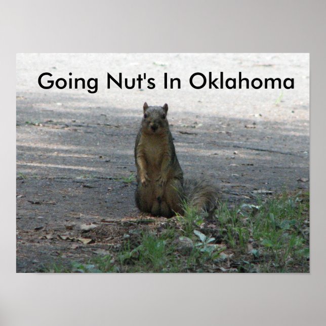 Going Nut's In Oklahoma Poster (Front)
