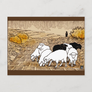 Going To Pasture Postcard