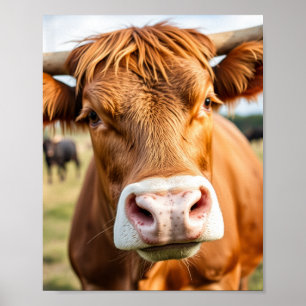 Going to the Cattle Ranch Cow Poster