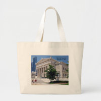 Going to the Field Museum