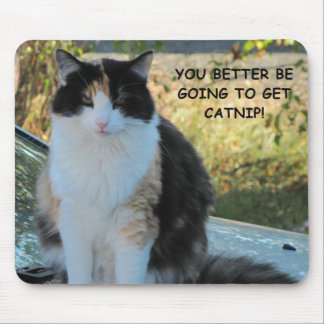 Going to the Store? Funny Cat Meme Mouse Pad