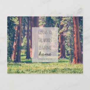 Going to the Woods Postcard