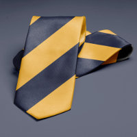 Gold and Navy Blue Stripes
