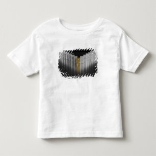 Gold and silver dominoes toddler t-shirt