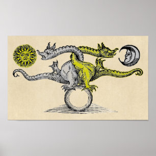 Gold and Silver Dragon Symbol Poster