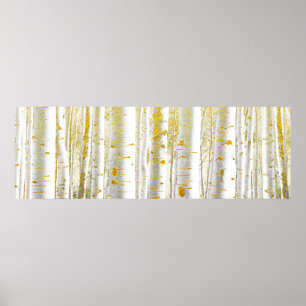 Gold and White Birch Tree Forest Poster