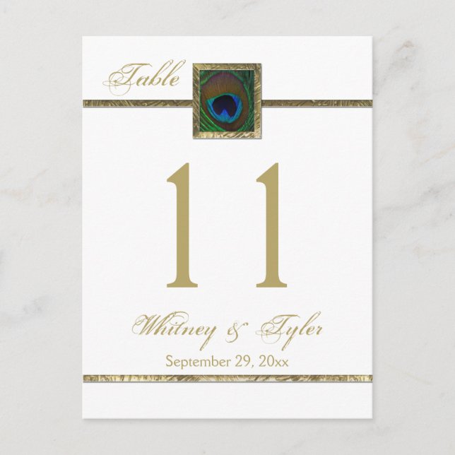 Gold and White Peacock Feather Table Number Postcard (Front)