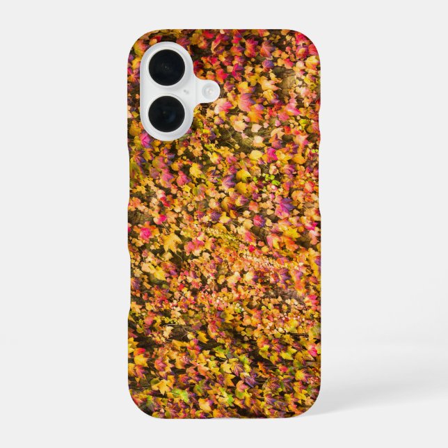 Gold autumn colors ivy wall iPhone 16 case (Back)