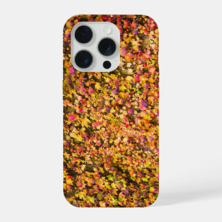 Gold autumn colors ivy wall iPhone 15 pro case