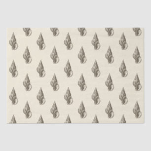 Gold Beige Marine Life Seashell Pattern Tissue Paper