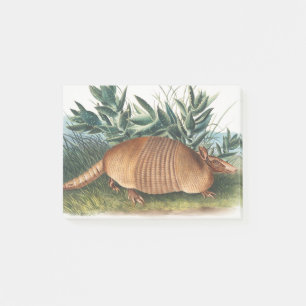 Gold Beige Nine-banded Armadillo Post-it Notes