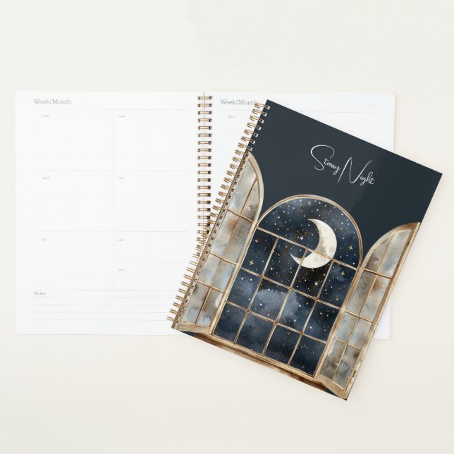 Gold Blue Silver Stars Planner (Display)