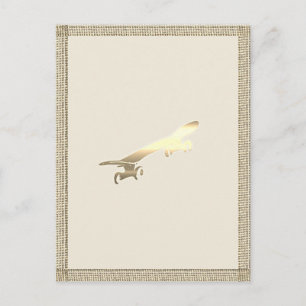 Gold Board Skateboarding Kids Postcard