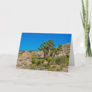 Gold Butte National Monument Card