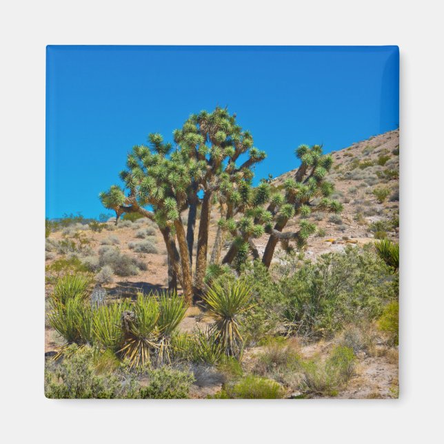 Gold Butte National Monument Magnet (Front)