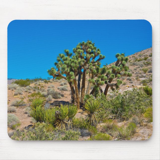 Gold Butte National Monument Mouse Pad (Front)