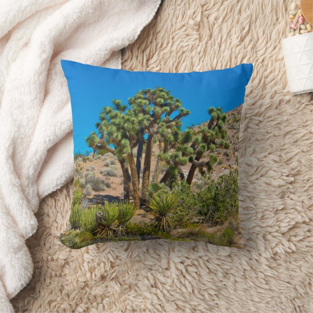 Gold Butte National Monument Throw Pillow (Blanket)