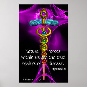 GOLD CADUCEUS, 7 CHAKRAS, PURPLE ROSE Medical,Yoga Poster