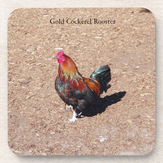 Gold Cockerel Rooster coaster (Front)