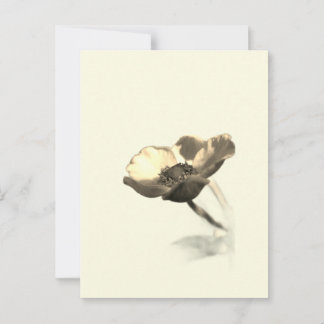 Gold Dream Flowers – Sepia Minimalist Nature  Postcard