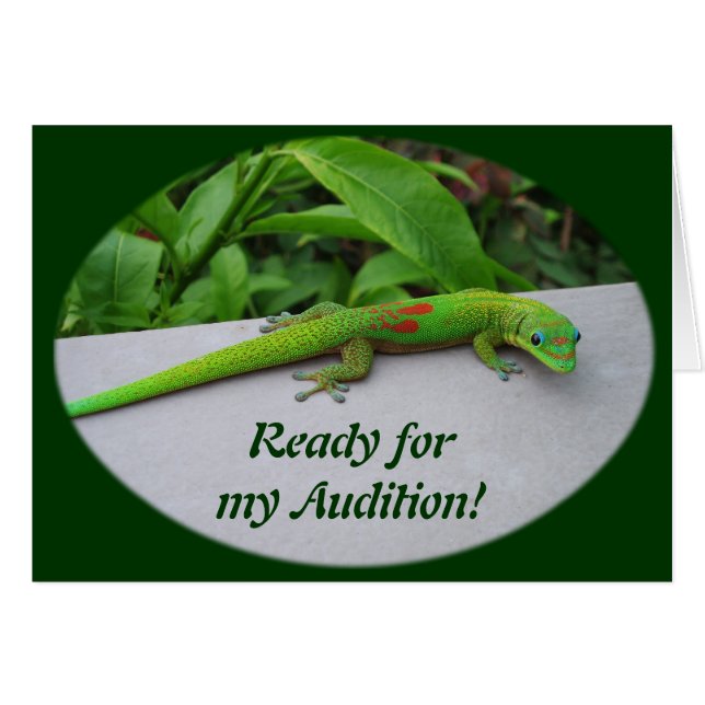 Gold Dust Day Gecko – Audition and Get Some Gecko (Front Horizontal)