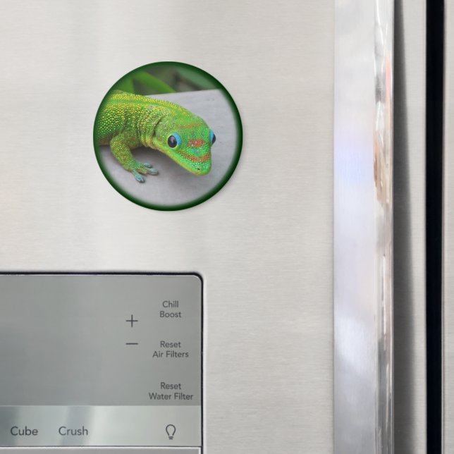 Gold Dust Day Gecko – Audition and Get Some Gecko Magnet (In Situ (Fridge))