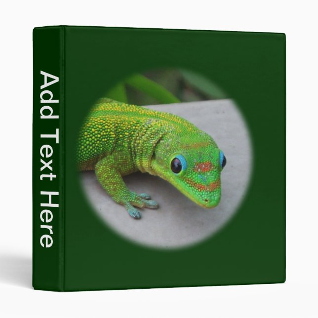 Gold Dust Day Gecko Binder (Front/Spine)