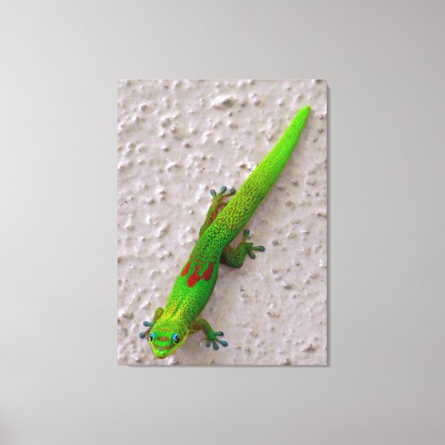 Gold Dust Day Gecko Canvas Print (Front)