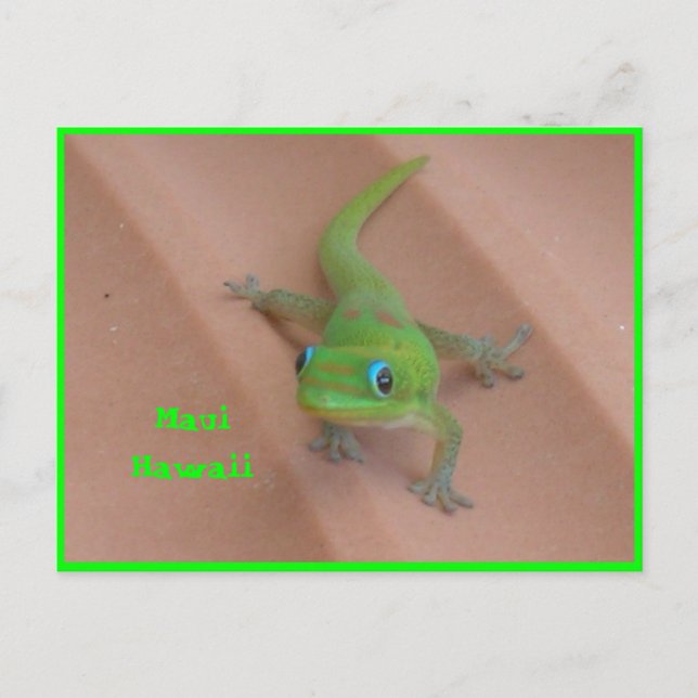 Gold Dust Day  Gecko Postcard (Front)
