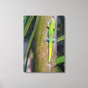 Gold Dust Gecko “gold dust gecko”, gecko, trop Canvas Print