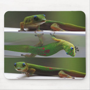 Gold dust Gecko Mouse Pad