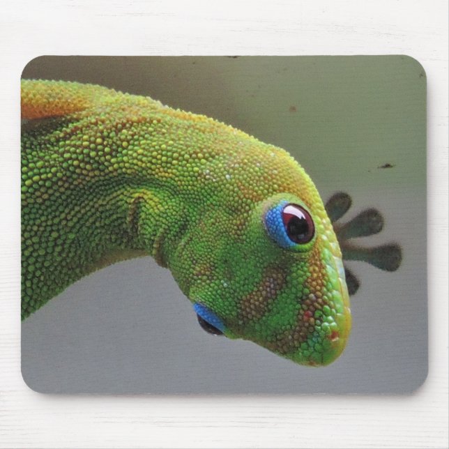 Gold dust Gecko Mouse Pad (Front)