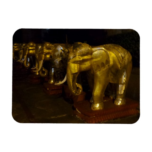 Gold Elephants 3"x4" Magnet (Horizontal)