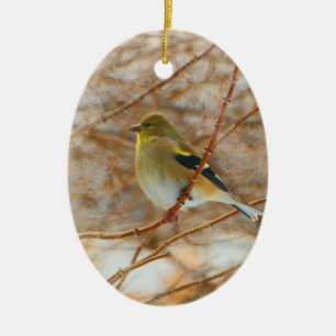 Gold finch ceramic ornament