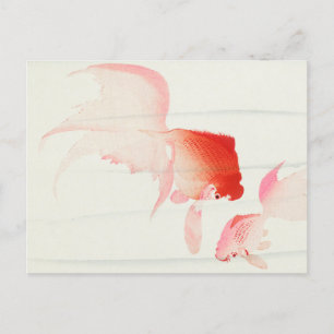 Gold Fish Painting by Ohara Koson Postcard