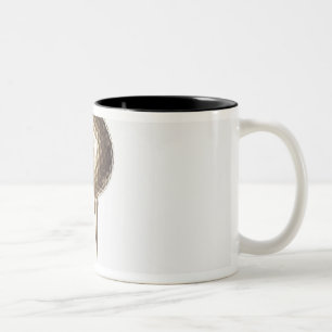 Gold golf ball and tee Two-Tone coffee mug