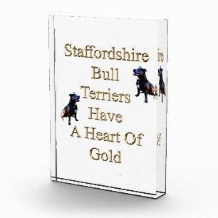 Gold Heart Staffordshire Bull Terrier, Bloc photo