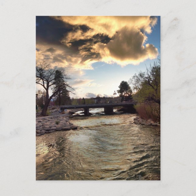 Gold Light on Truckee River Postcard (Front)