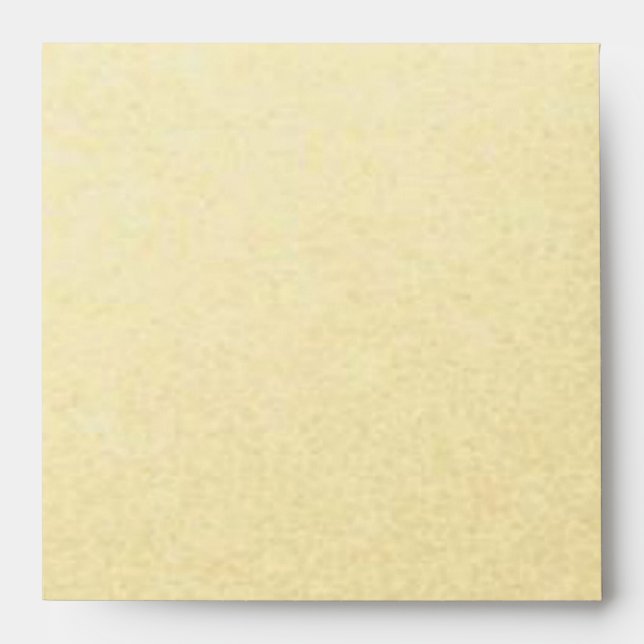 Gold Lined with Black and White Stripes Square Envelope (Front)