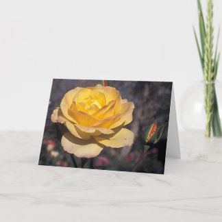 Gold Medal Rose Card