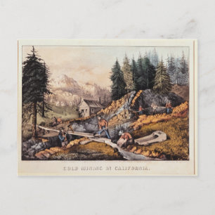 Gold Mining in California Postcard