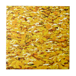 Gold Of Autumn Tile