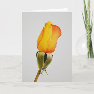 Gold Orange Rose Bud Art Note Card