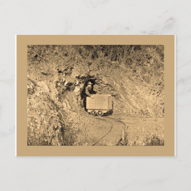 Gold panning art t shirts postcard (Front)