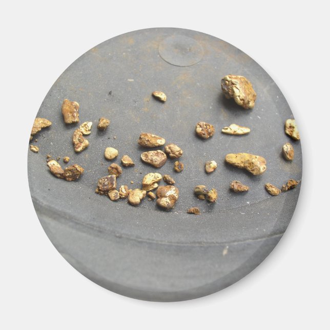 Gold Panning Magnet (Front)