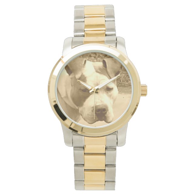 Gold Pit Bull Watch (Front)