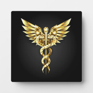 Gold Polygonal Symbol Caduceus Plaque