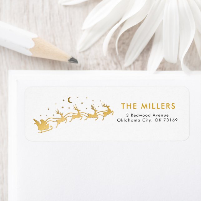 Gold Santa flying in a sleigh with reindeer  (Insitu)