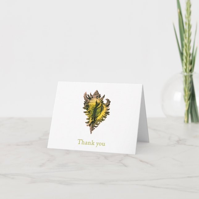 Gold Sea Shell Thank You Note Cards (Front)