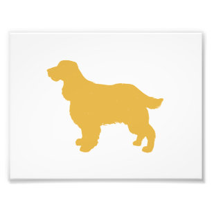 Gold silhouette of Cocker - Choose back color Photo Print